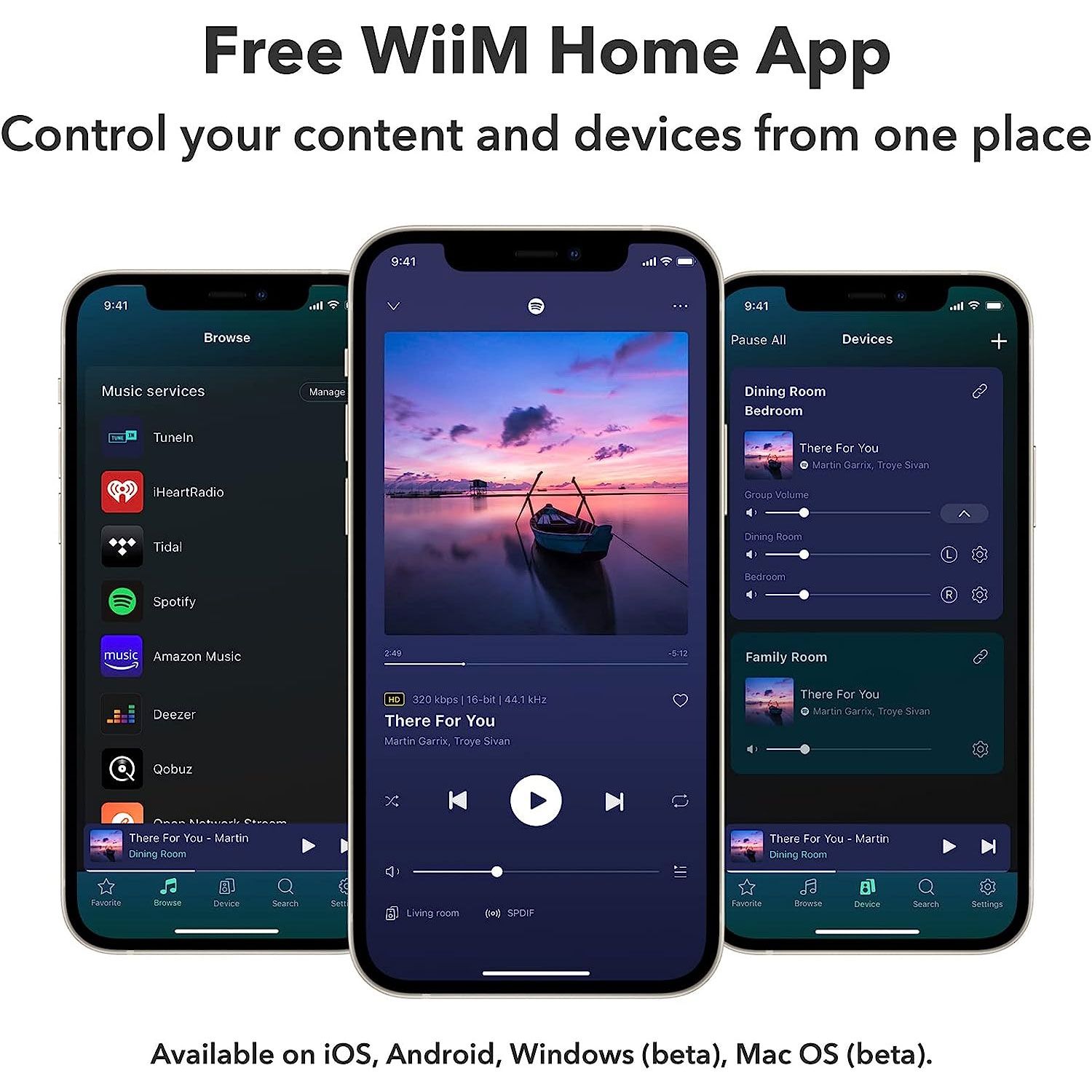 WIIM-MINI