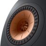 LS50META-BG