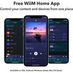 WIIM-MINI