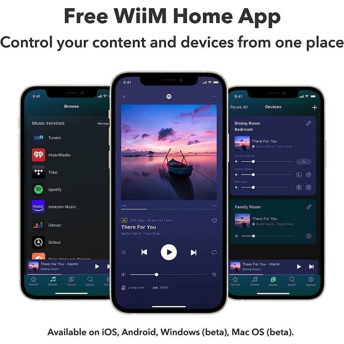 WIIM-PRO
