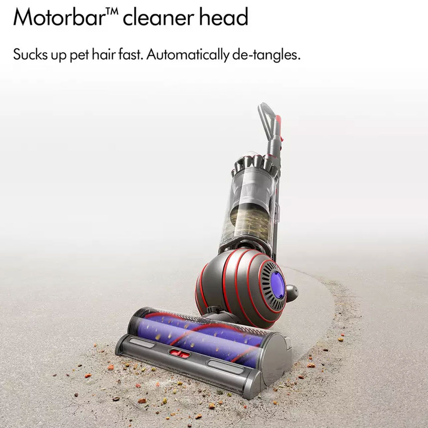 Dyson Ball Animal New Upright Vacuum Cleaner - Grey | HBH Woolacotts